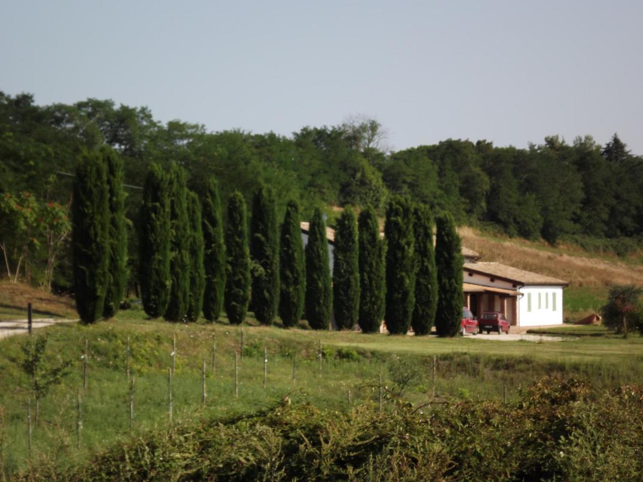 Casale Arcadia Hotel Orvieto Exterior photo